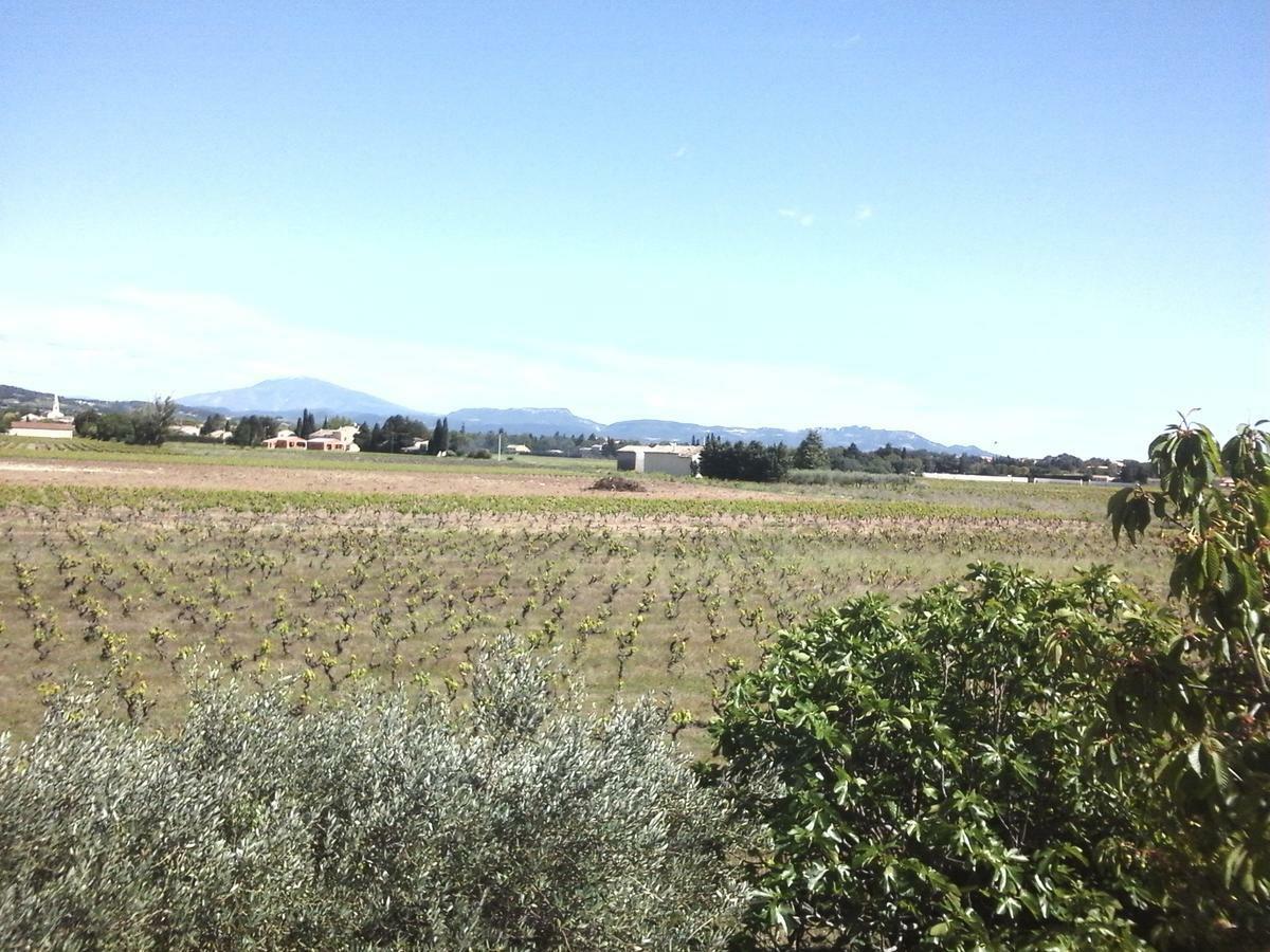 Sainte-Cécile-les-Vignes Vents D'Anges B&B 외부 사진